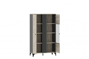 Шкаф комбинированный НМ 040.11 "Отис" в Агрызе - agryz.ok-mebel.com | фото 2