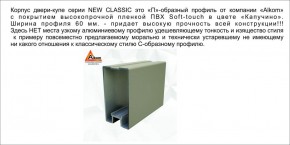 Шкаф-купе 1500 серии NEW CLASSIC K2+K2+B2+PL2(2 ящика+1 штанга+1 полка) профиль «Капучино» в Агрызе - agryz.ok-mebel.com | фото 17