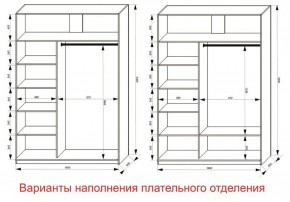 Шкаф-купе 1600 серии SOFT D1+D3+B2+PL1 (2 ящика+1штанга) профиль «Графит» в Агрызе - agryz.ok-mebel.com | фото 6