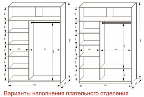 Шкаф-купе 1600 серии SOFT D6+D4+B2+PL2 (2 ящика+1штанга+1 полка) профиль «Капучино» в Агрызе - agryz.ok-mebel.com | фото 8