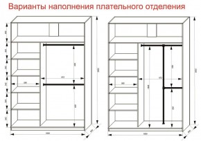 Шкаф-купе 1600 серии SOFT D6+D4+B2+PL2 (2 ящика+1штанга+1 полка) профиль «Капучино» в Агрызе - agryz.ok-mebel.com | фото 9