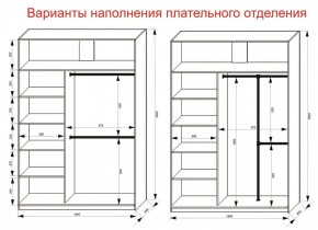 Шкаф-купе 1600 серии SOFT D6+D6+B2+PL3 (2 ящика+2штанги) профиль «Капучино» в Агрызе - agryz.ok-mebel.com | фото 7