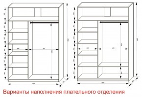 Шкаф-купе 1600 серии SOFT D6+D6+B2+PL3 (2 ящика+2штанги) профиль «Капучино» в Агрызе - agryz.ok-mebel.com | фото 8