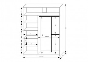 Шкаф-купе 1700 серии NEW CLASSIC K4+K4+B2+PL4 (2 ящика+F обр. штанга) профиль «Капучино» в Агрызе - agryz.ok-mebel.com | фото 3