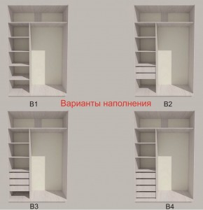 Шкаф-купе 1700 серии SILVER S3+S4+B2+PL4 (2 ящика+F обр.штанга) профиль «Серебро» в Агрызе - agryz.ok-mebel.com | фото 5