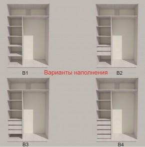 Шкаф-купе 1700 серии SILVER S4+S3Z+B2+PL1 (2 ящика+1 штанга) профиль «Серебро» в Агрызе - agryz.ok-mebel.com | фото 5