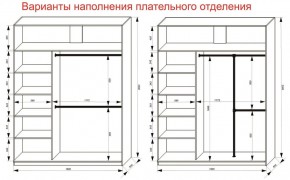 Шкаф-купе 1800 серии SOFT D8+D2+B2+PL4 (2 ящика+F обр.штанга) профиль «Графит» в Агрызе - agryz.ok-mebel.com | фото 8