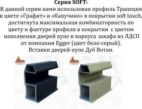 Шкаф-купе 1800 серии SOFT D8+D2+B2+PL4 (2 ящика+F обр.штанга) профиль «Капучино» в Агрызе - agryz.ok-mebel.com | фото 10