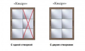 Шкаф-купе №19 Серия 3 Квадро (2000) Ясень Анкор светлый в Агрызе - agryz.ok-mebel.com | фото 3