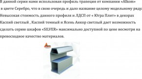 Шкаф-купе 2250 серии SILVER S5+S1+S5 B22+PL2 (по 2 ящика лев/прав+1 штанга+1 полка) профиль «Серебро» в Агрызе - agryz.ok-mebel.com | фото 16