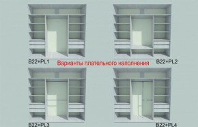 Шкаф-купе 2250 серии SILVER S5+S1+S5 B22+PL2 (по 2 ящика лев/прав+1 штанга+1 полка) профиль «Серебро» в Агрызе - agryz.ok-mebel.com | фото 5