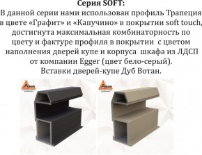Шкаф-купе 2400 серии SOFT D5+D5+D5+B22+PL4 (по 2 ящика лев/прав+2штанги) профиль «Графит» в Агрызе - agryz.ok-mebel.com | фото 11
