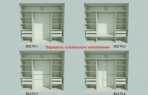 Шкаф-купе 2450 серии NEW CLASSIC K6Z+K1+K6+B22+PL1 (по 2 ящика лев/прав+1 штанга) профиль «Капучино» в Агрызе - agryz.ok-mebel.com | фото 6