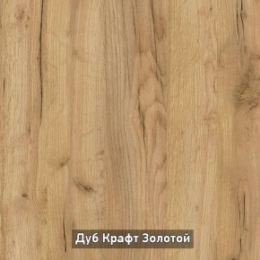 Шкаф купе без зеркала "Ольга-Лофт 10.1" в Агрызе - agryz.ok-mebel.com | фото 5