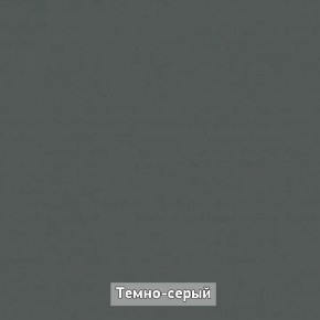 Шкаф купе без зеркала "Ольга-Лофт 10.1" в Агрызе - agryz.ok-mebel.com | фото 7