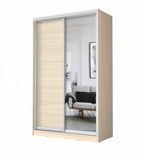 Шкаф-купе ХИТ 22-15-15 (620) в Агрызе - agryz.ok-mebel.com | фото 5