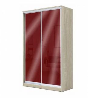 Шкаф-купе ХИТ 22-15-22 (620) в Агрызе - agryz.ok-mebel.com | фото 7