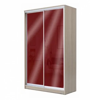 Шкаф-купе ХИТ 22-15-22 (620) в Агрызе - agryz.ok-mebel.com | фото 8