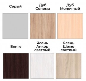 Шкаф-купе ХИТ 22-17-66 (620) в Агрызе - agryz.ok-mebel.com | фото 3