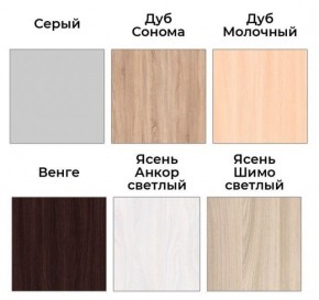 Шкаф-купе ХИТ 22-18-111 (620) в Агрызе - agryz.ok-mebel.com | фото 3