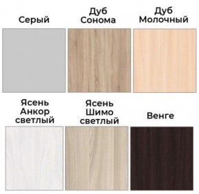 Шкаф-купе ХИТ 22-4-12/2-77 (420) в Агрызе - agryz.ok-mebel.com | фото 3