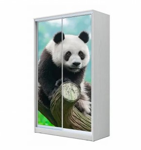 Шкаф-купе ХИТ 22-4-17-77 (420) в Агрызе - agryz.ok-mebel.com | фото 5