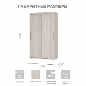 Шкаф-купе ШКК-11 (ясень белый) в Агрызе - agryz.ok-mebel.com | фото 7