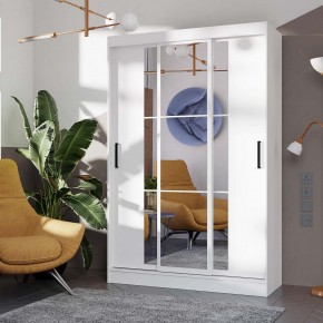 Шкаф-купе Тайм ШКК-03 (белый) в Агрызе - agryz.ok-mebel.com | фото