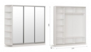 Шкаф-купе Тетрис 210/240 (ЗЗЗ) Белый жемчуг в Агрызе - agryz.ok-mebel.com | фото