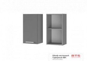 ШКАФ НАСТЕННЫЙ 1-ДВЕРНЫЙ 4В1 (400Х720Х310) КГ Крафт в Агрызе - agryz.ok-mebel.com | фото