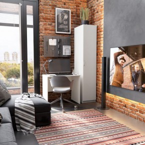Шкаф ОРИОН однодверный, цвет белый в Агрызе - agryz.ok-mebel.com | фото 4