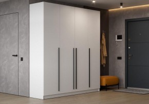 Шкаф платяной Бирма в Агрызе - agryz.ok-mebel.com | фото 4