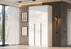 Шкаф платяной Даиго в Агрызе - agryz.ok-mebel.com | фото 3
