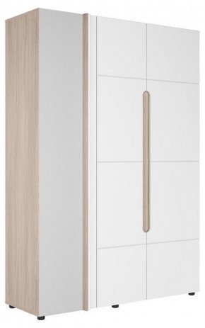 Шкаф платяной Данк в Агрызе - agryz.ok-mebel.com | фото