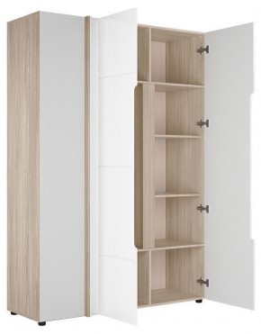 Шкаф платяной Данк в Агрызе - agryz.ok-mebel.com | фото 2