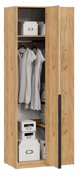 Шкаф платяной Джоли в Агрызе - agryz.ok-mebel.com | фото 3