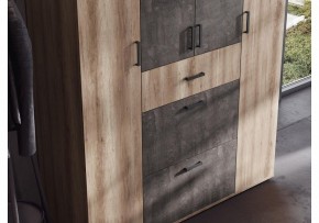 Шкаф платяной Паркинс в Агрызе - agryz.ok-mebel.com | фото 3