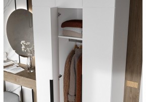Шкаф платяной Широн в Агрызе - agryz.ok-mebel.com | фото 3