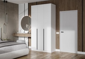 Шкаф платяной Широн в Агрызе - agryz.ok-mebel.com | фото 4