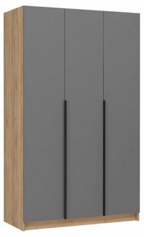Шкаф платяной Широн в Агрызе - agryz.ok-mebel.com | фото