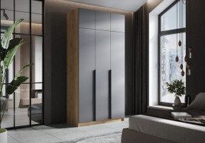 Шкаф платяной Широн в Агрызе - agryz.ok-mebel.com | фото 4