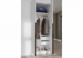 Шкаф платяной Широн в Агрызе - agryz.ok-mebel.com | фото 3