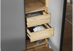 Шкаф платяной Широн в Агрызе - agryz.ok-mebel.com | фото 3