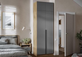 Шкаф платяной Широн в Агрызе - agryz.ok-mebel.com | фото 4