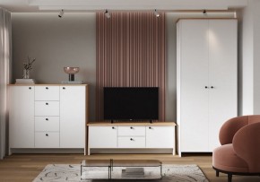 Шкаф платяной Теодора в Агрызе - agryz.ok-mebel.com | фото 4