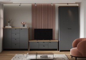 Шкаф платяной Теодора в Агрызе - agryz.ok-mebel.com | фото 3