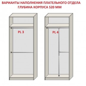 Шкаф распашной серия «ЗЕВС» (PL3/С1/PL2) в Агрызе - agryz.ok-mebel.com | фото 10