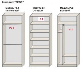 Шкаф распашной серия «ЗЕВС» (PL3/С1/PL2) в Агрызе - agryz.ok-mebel.com | фото 2