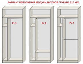 Шкаф распашной серия «ЗЕВС» (PL3/С1/PL2) Серый камень/Небраска натуральный в Агрызе - agryz.ok-mebel.com | фото 5