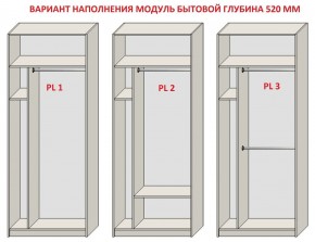 Шкаф распашной серия «ЗЕВС» (PL3/С1/PL2) в Агрызе - agryz.ok-mebel.com | фото 5